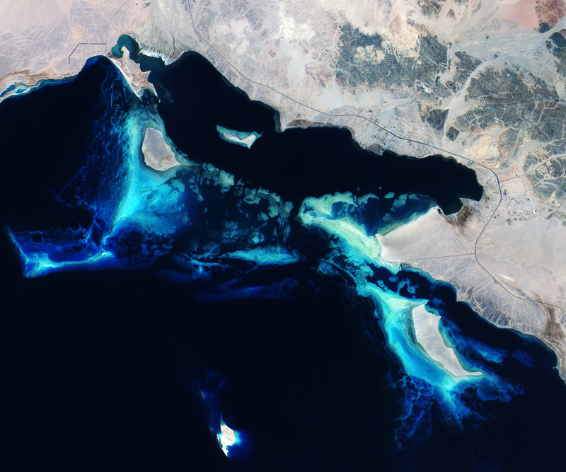 Illustration for article titled These Are Our Favorite Earth Images of 2015
